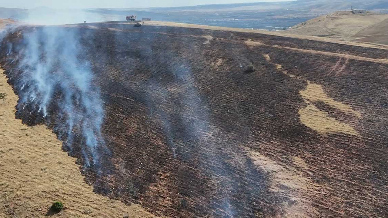 Kırıkkale'de mangal ateşi yangına sebep oldu: 3 bin dönümlük alan yandı