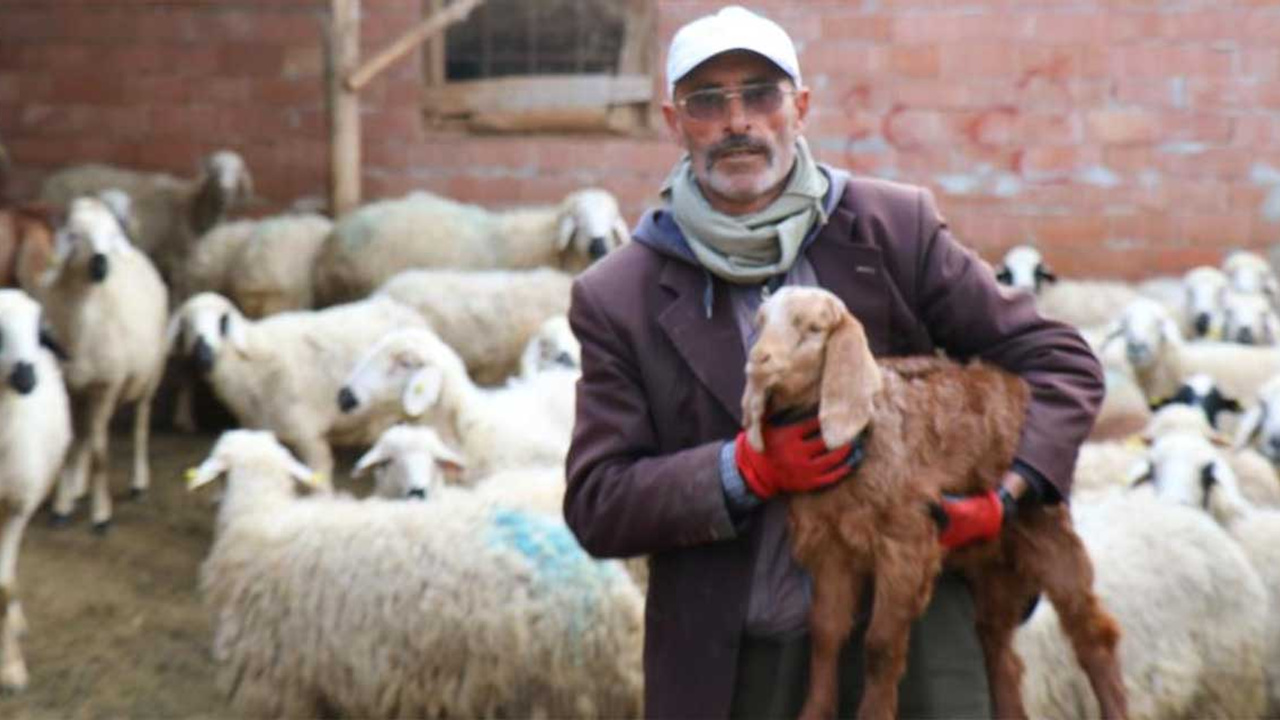 Fenomen muhtar adayının dolandırıcılık davasında yeni gelişme!