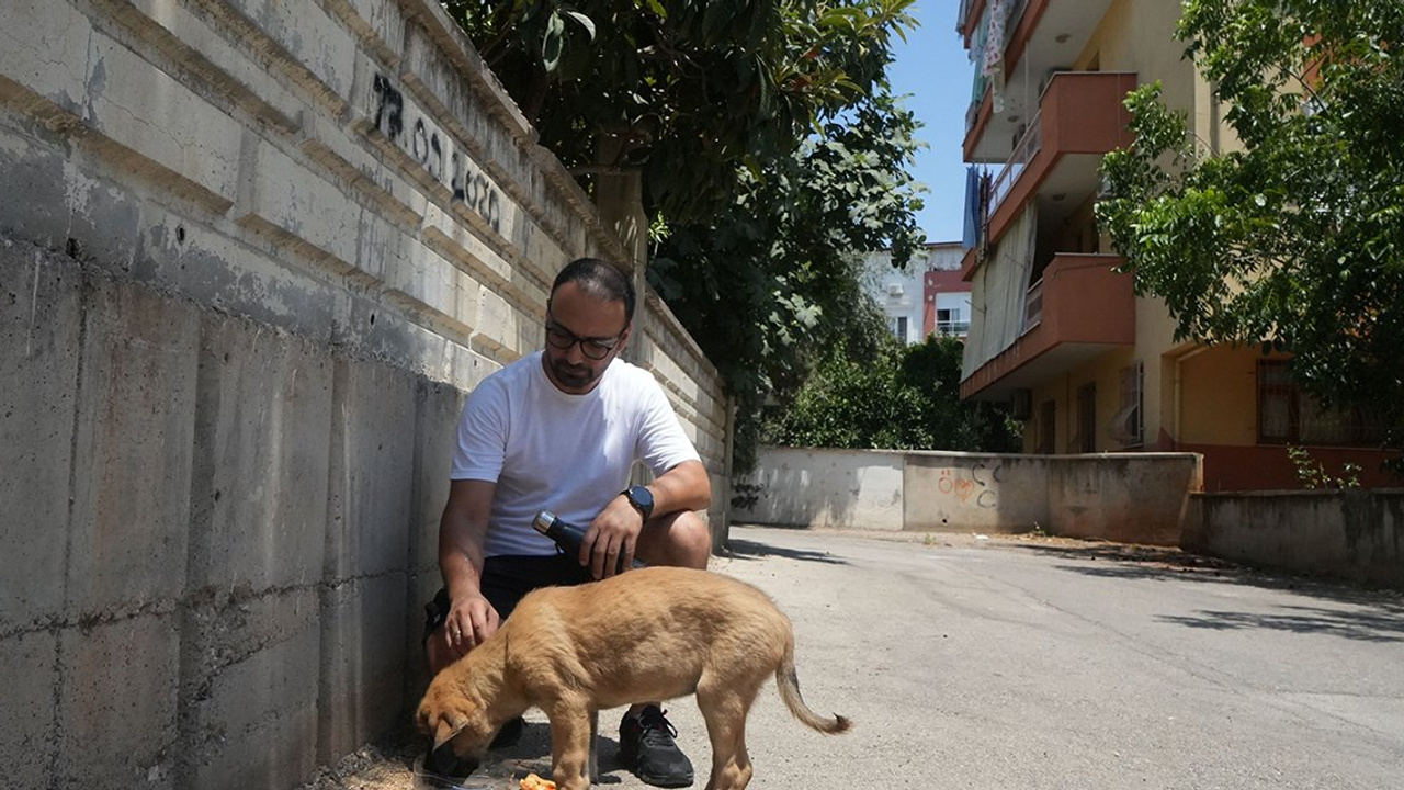 Sokak köpeğine şiddeti şikayet etti, sahibi değil diye kabul edilmedi