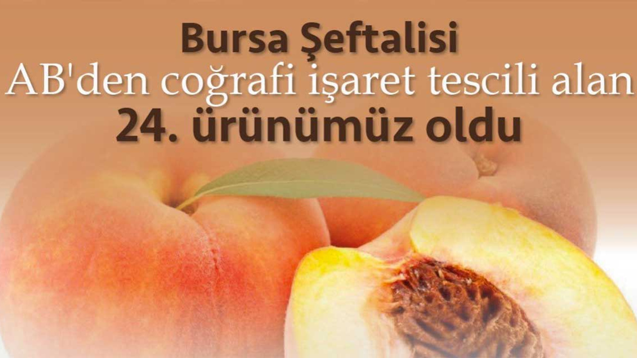 Hisarcıklıoğlu müjdeyi verdi: ''Bursa şeftalisi Avrupa Birliğinden coğrafi tescil aldı''