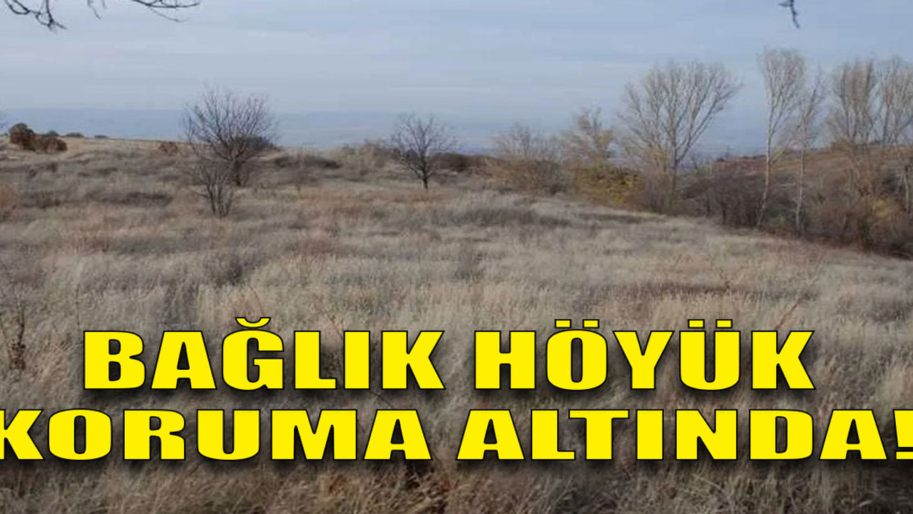 Bağlık Höyük koruma altında!