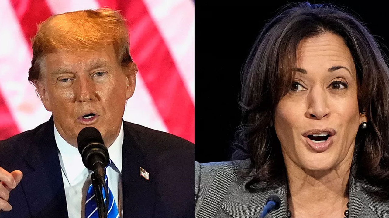 Trump: Kamala Harris, Hint mi siyahi mi?