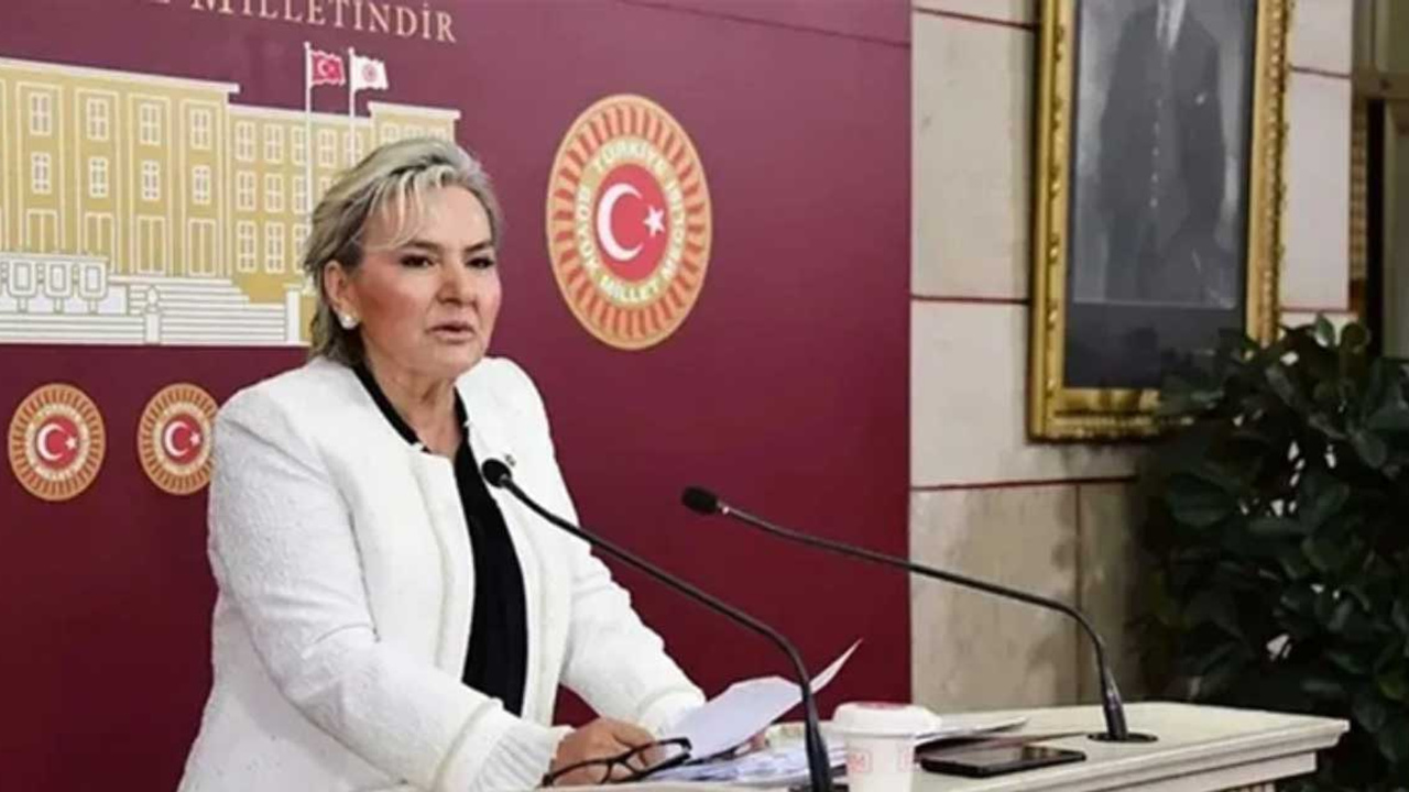 İYİ Parti'de Nimet Özdemir istifa etti: Vekil sayısı düşüyor!