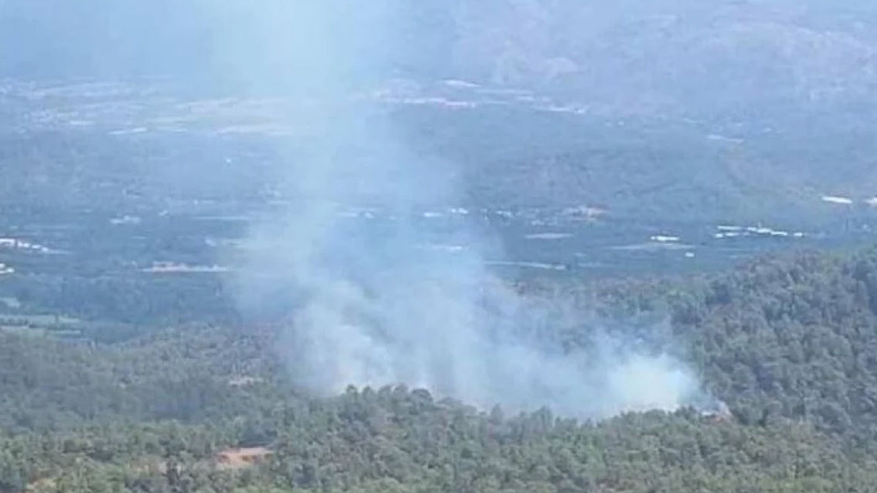 Muğla'da orman yangını!