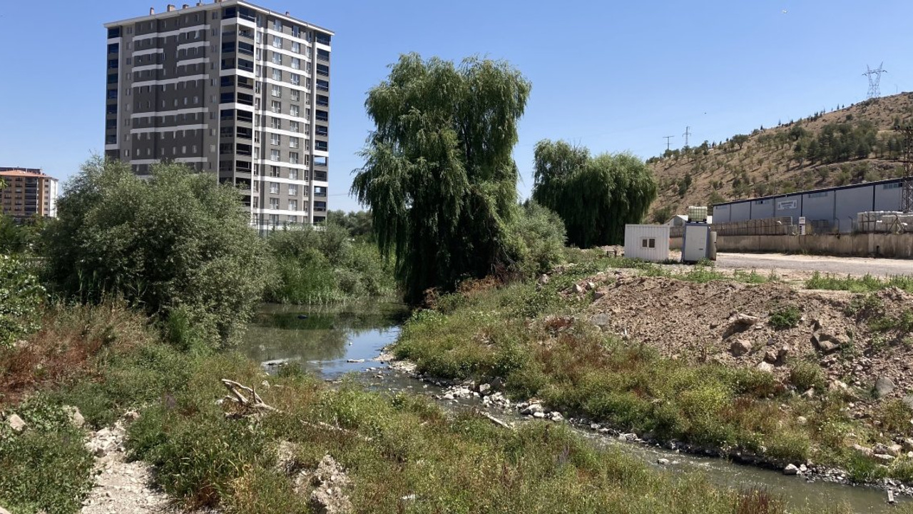 Ova Çayı kötü koku ve sivrisinekten geçilmiyor