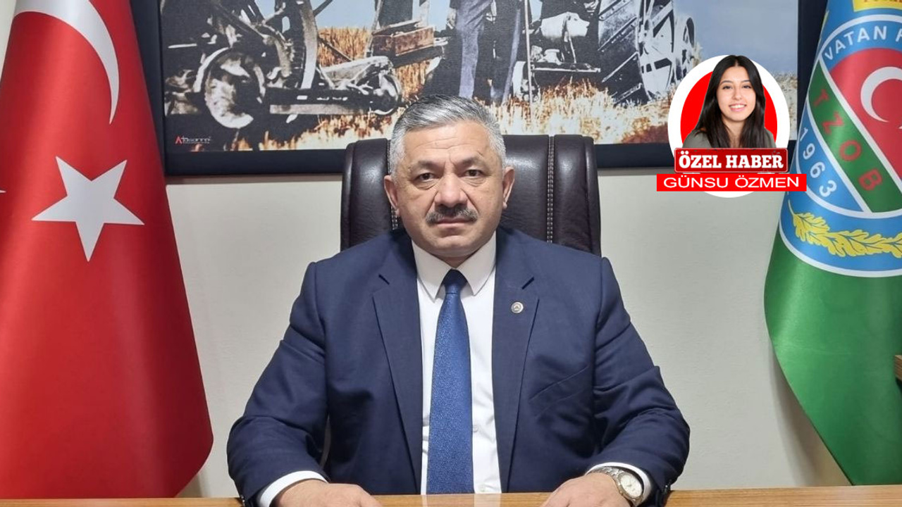 Perşembe Ziraat Odası Başkanı Arslan Soydan: Türkiye'nin fındığı, çikolata sanayisinde rakipsizdir