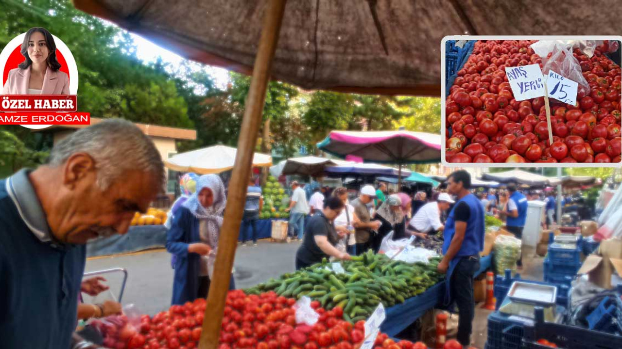 Ankara'nın tescilli ürünü Ayaş domatesi tezgâhlarda yüzleri güldürüyor