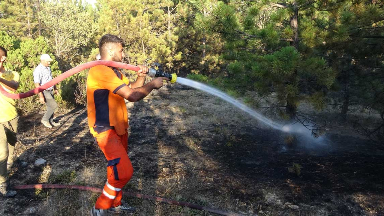 Yozgat'ın Çekerek ilçesindeki orman yangını kontrol altına alındı