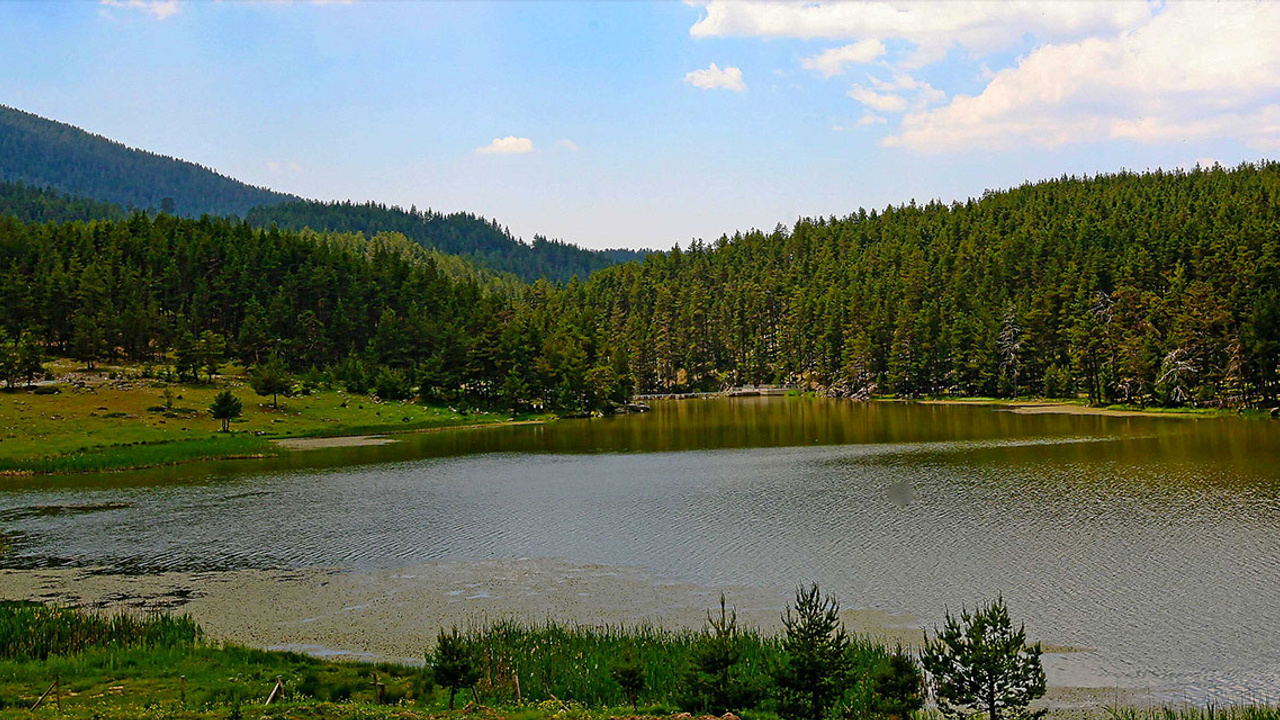 Bu yayla yemyeşil doğasıyla görenleri kendisine çekiyor!