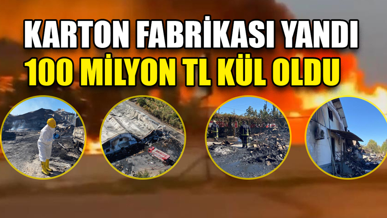 Antalya'da karton fabrikası yandı: 100 milyon TL kül oldu