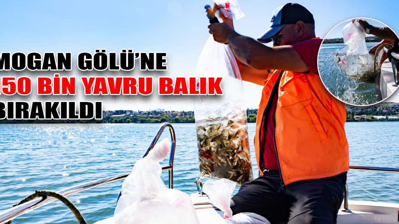 Mogan Gölü’ne 150 bin yavru balık bırakıldı