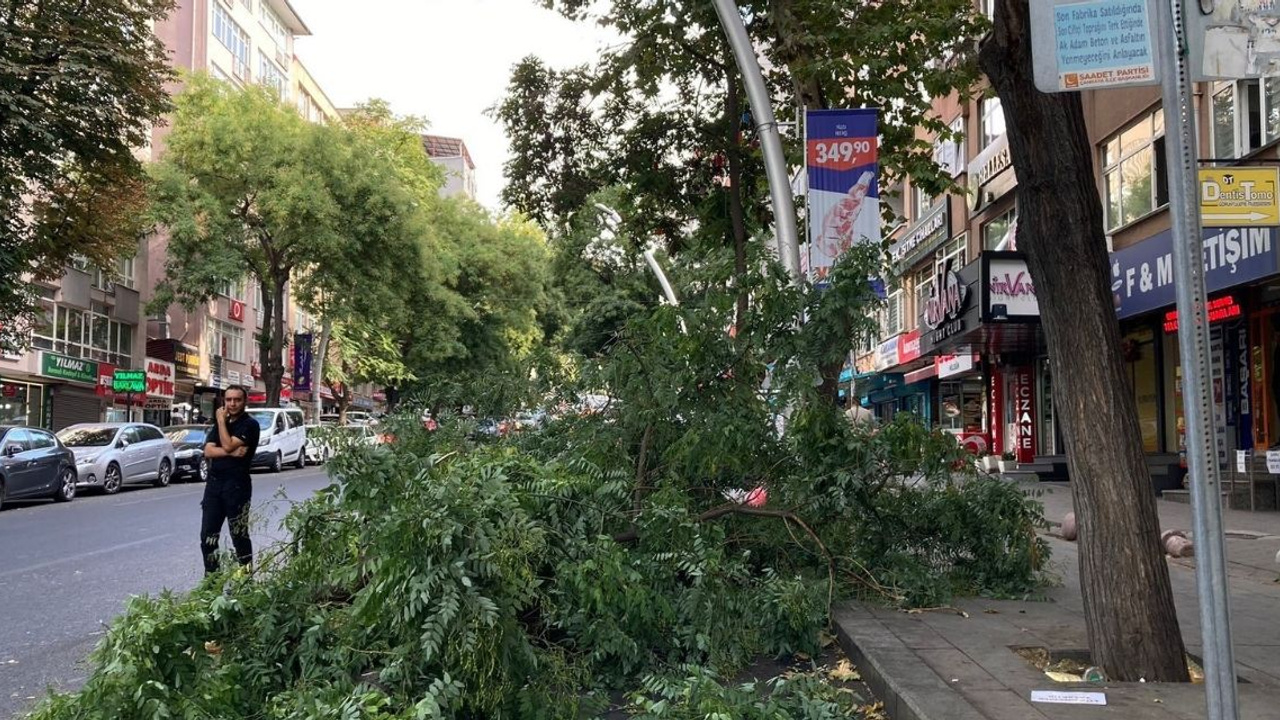 Çankaya’da ağaç dalları araçların üzerine düştü!