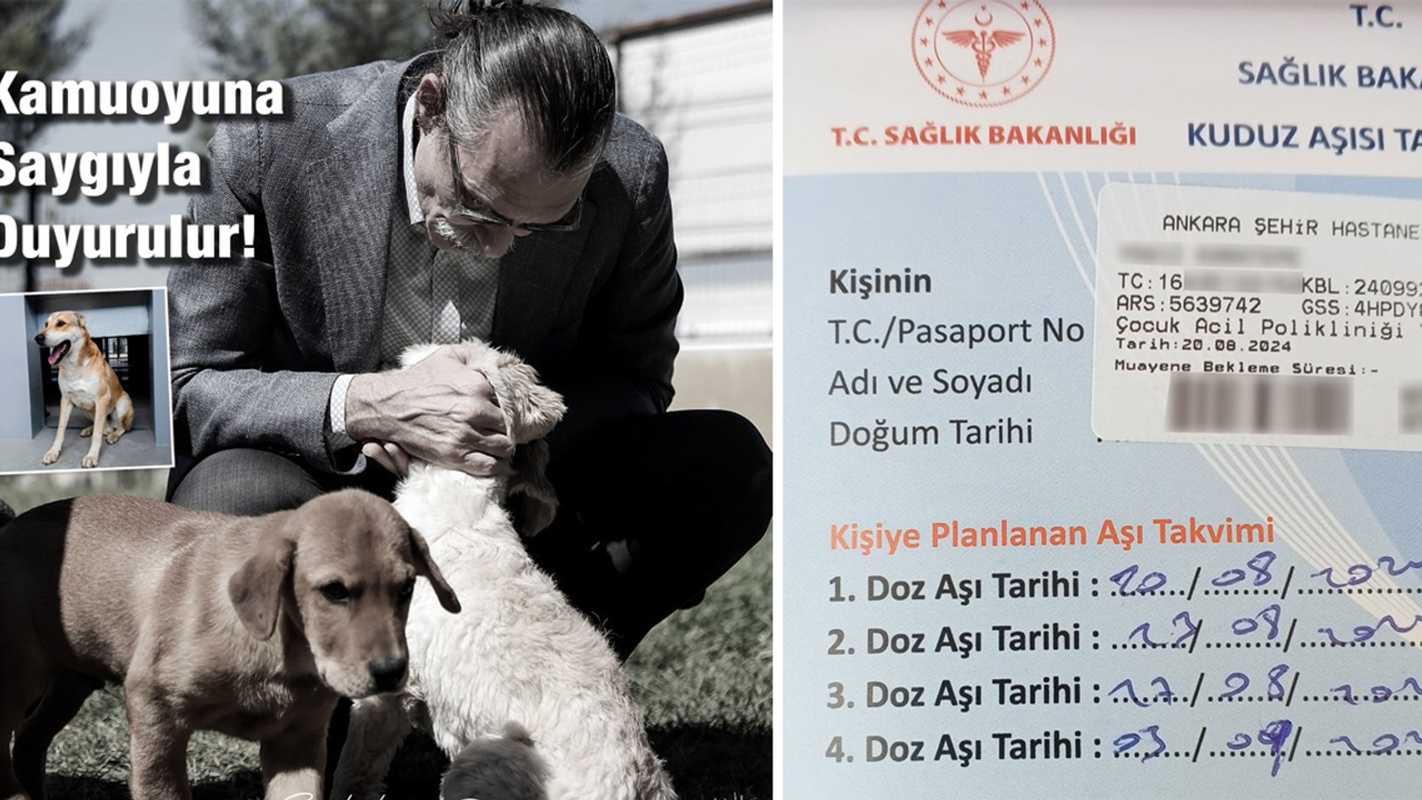 Ankara Etimesgut'ta çocuğu ısıran köpek sokağa salınacak