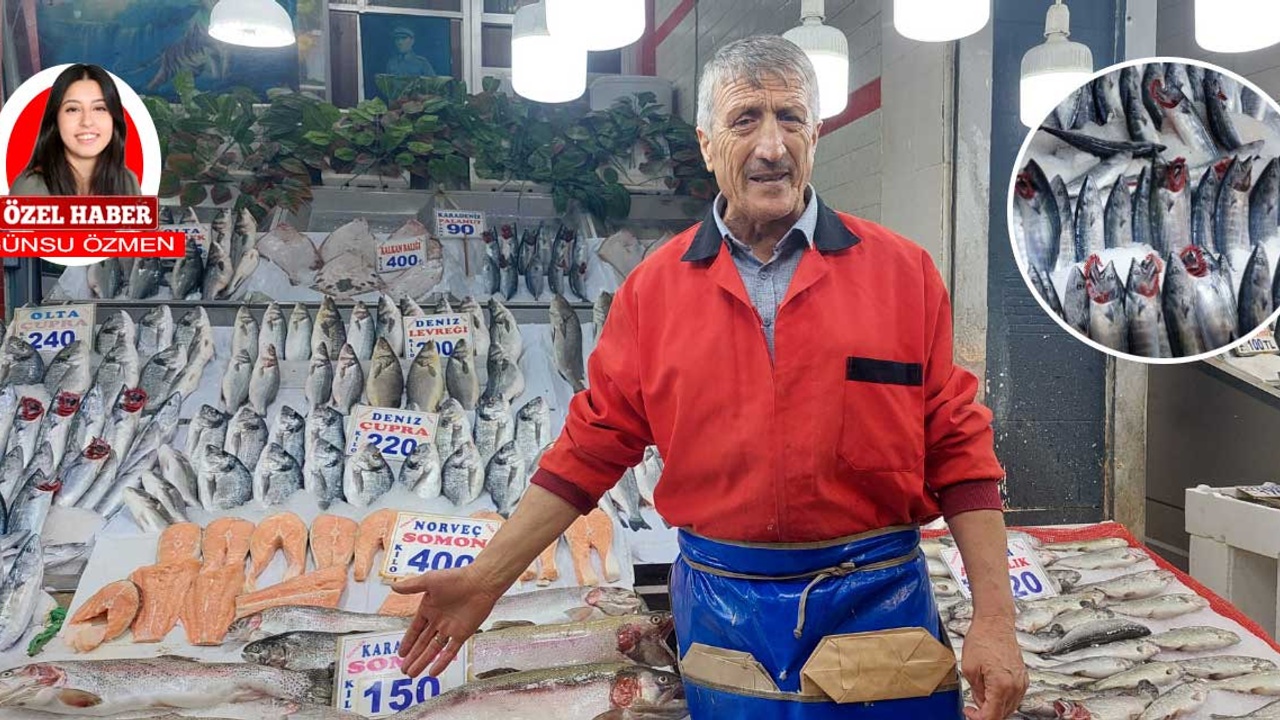 Palamut tezgâhlardaki yerini aldı ama vatandaş alabilecek mi?