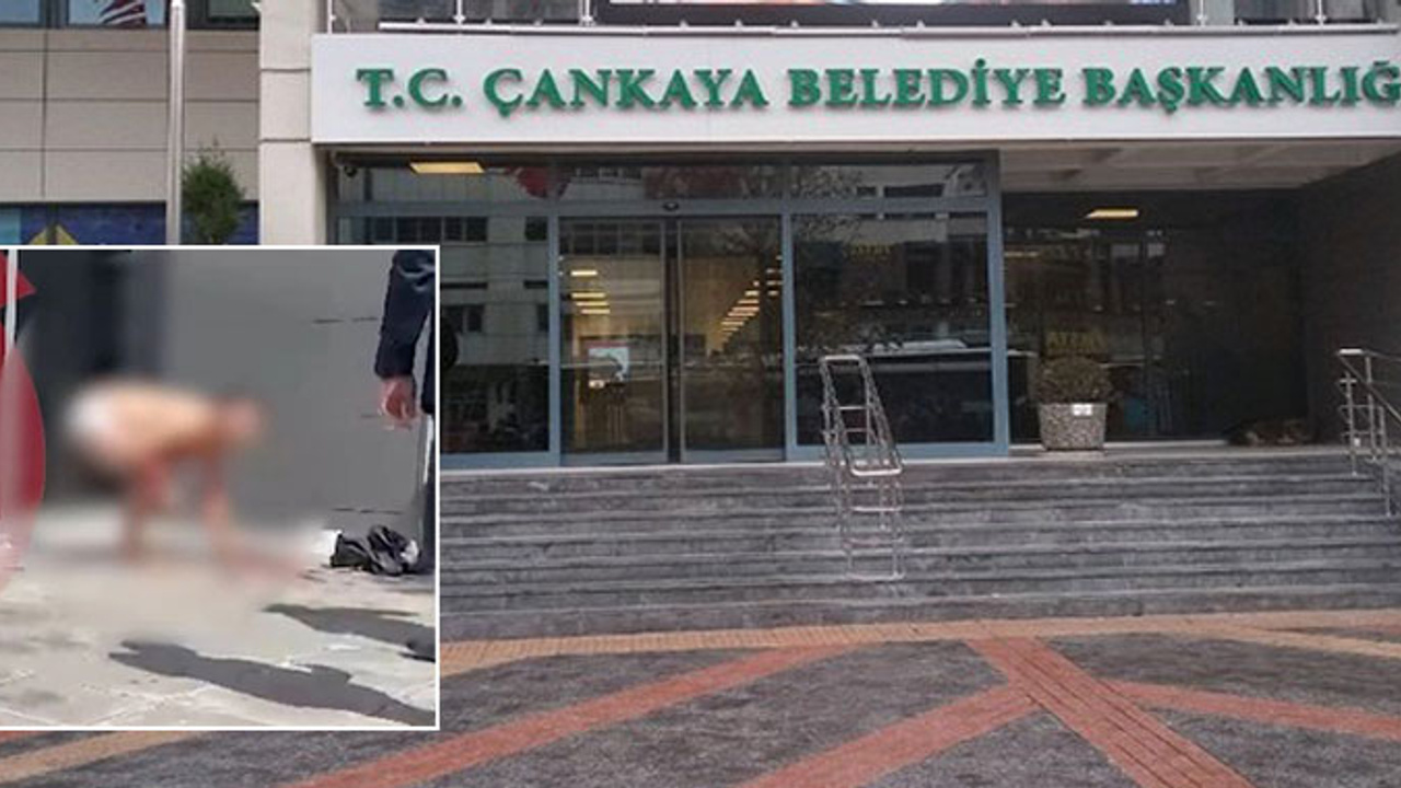 Çankaya Belediyesi böyle eylem görmedi: Vatandaş isyan etti