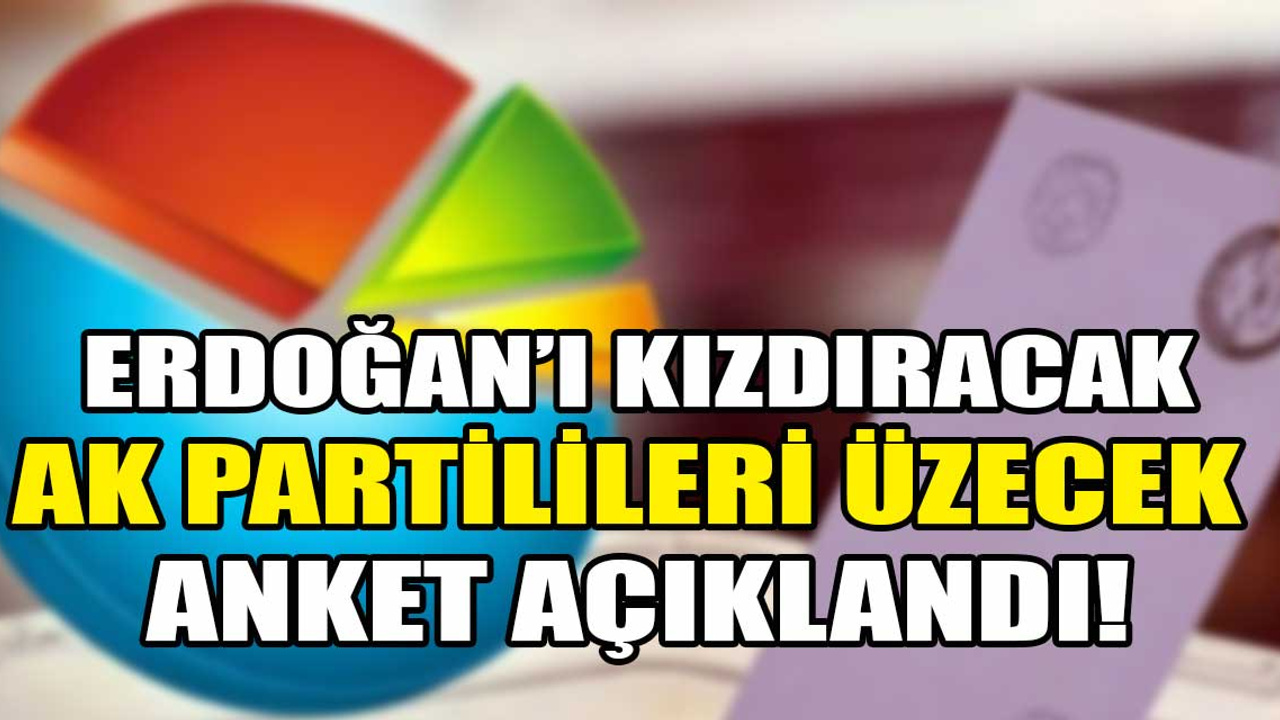 Erdoğan'ı kızdıracak, AK Partilileri üzecek anket açıklandı