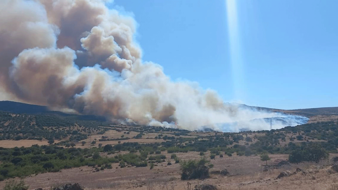 Bursa'da orman yangını!