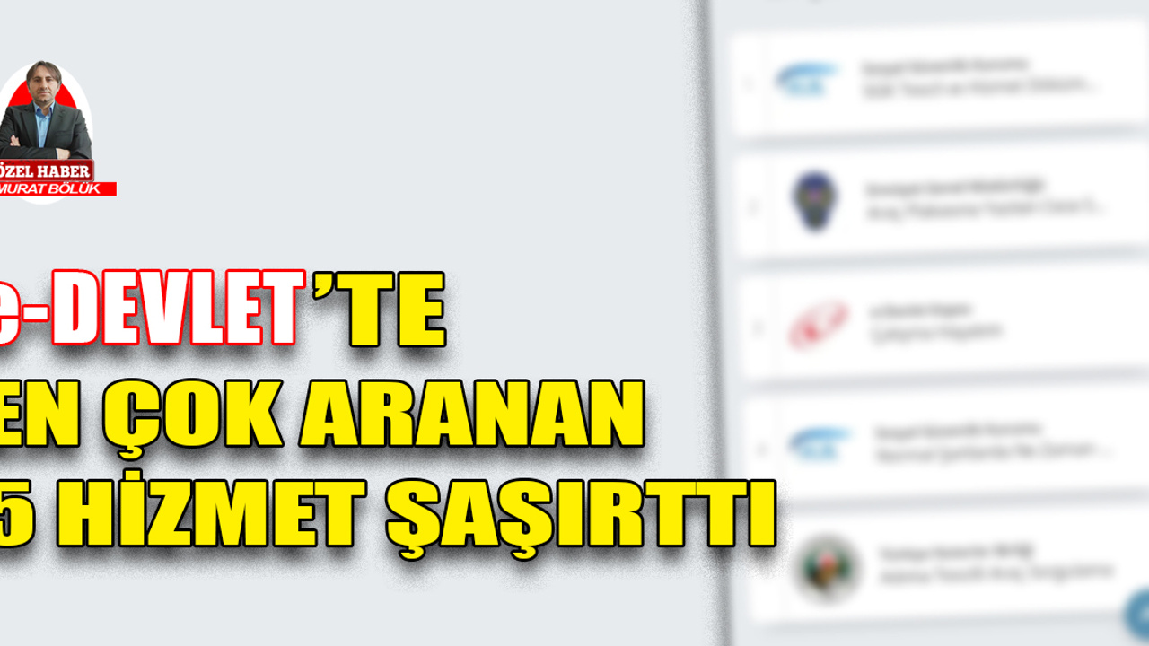 e-Devlet’te en çok aranan 5 hizmet şaşırttı