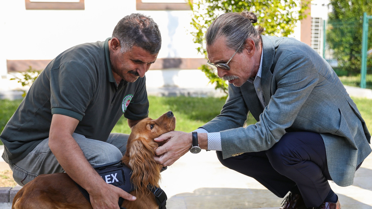 Etimesgut Belediyesi sahipsiz köpekleri sahiplendiriyor