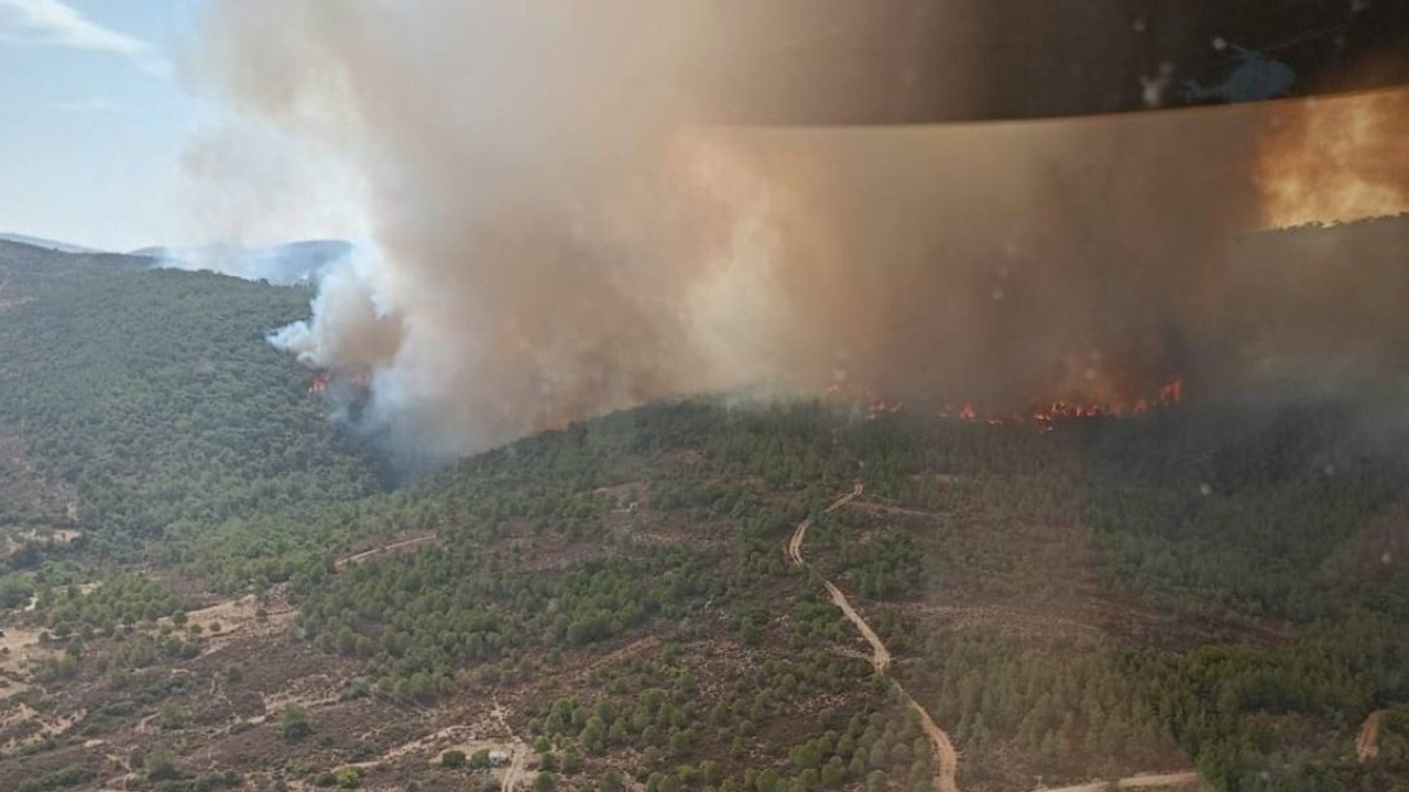 İzmir'de orman yangını