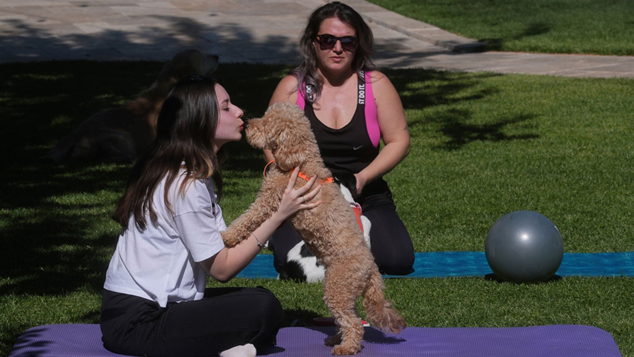 Ankara'da köpeklerle pilates yaptılar