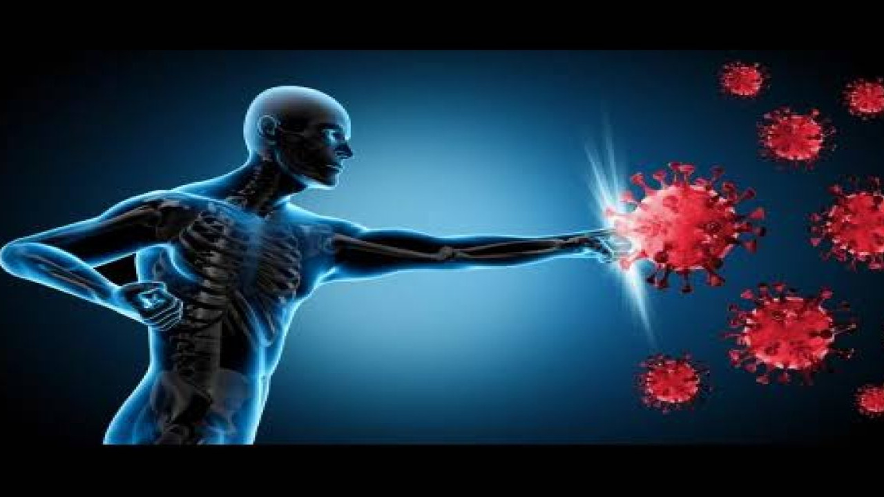 Bağışıklık sistemini güçlendirmek için 6 temel ipucu