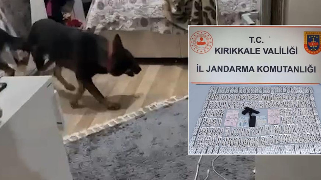 Narkotik Köpeği "Tepe" 3 bin 622 hapı buldu