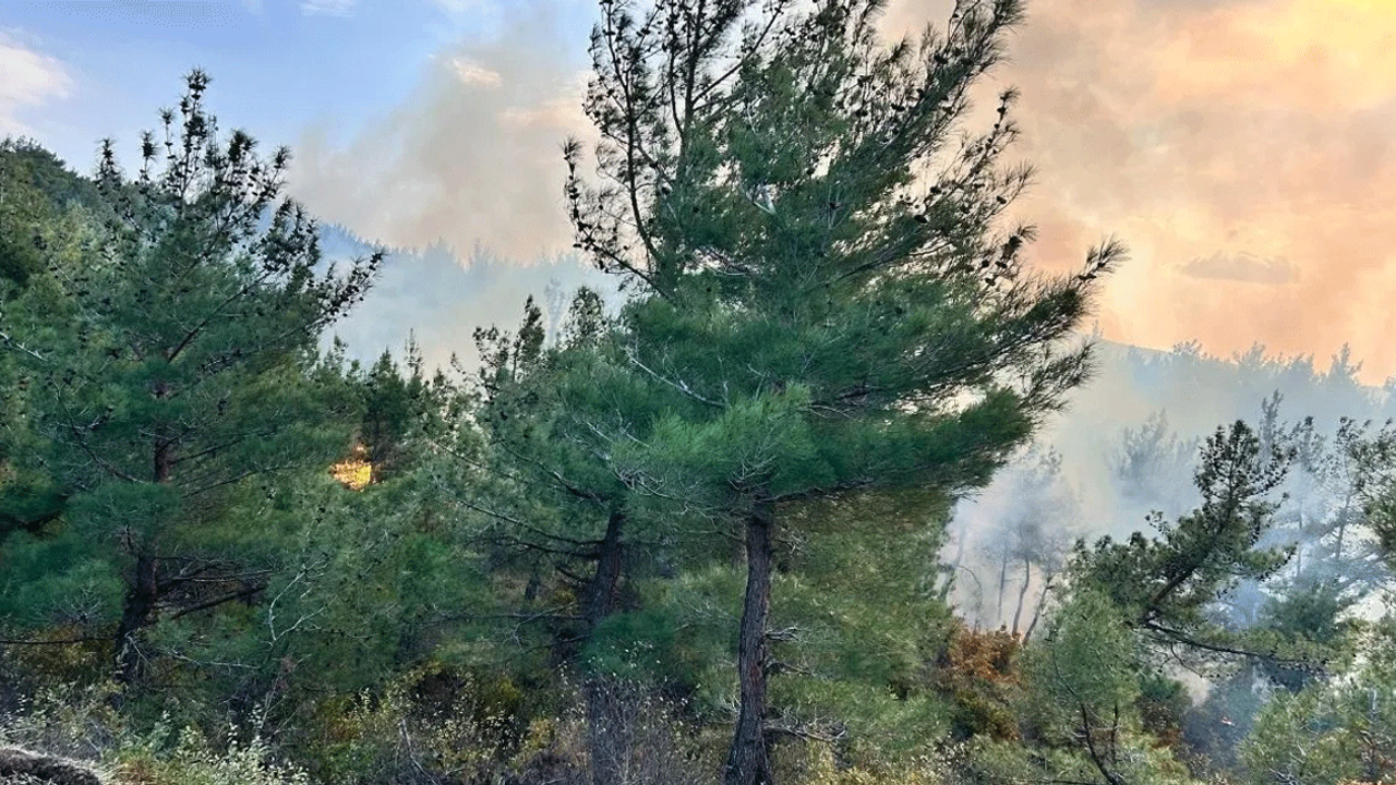 Hatay'daki orman yangını 5 saati aşkın süredir devam ediyor