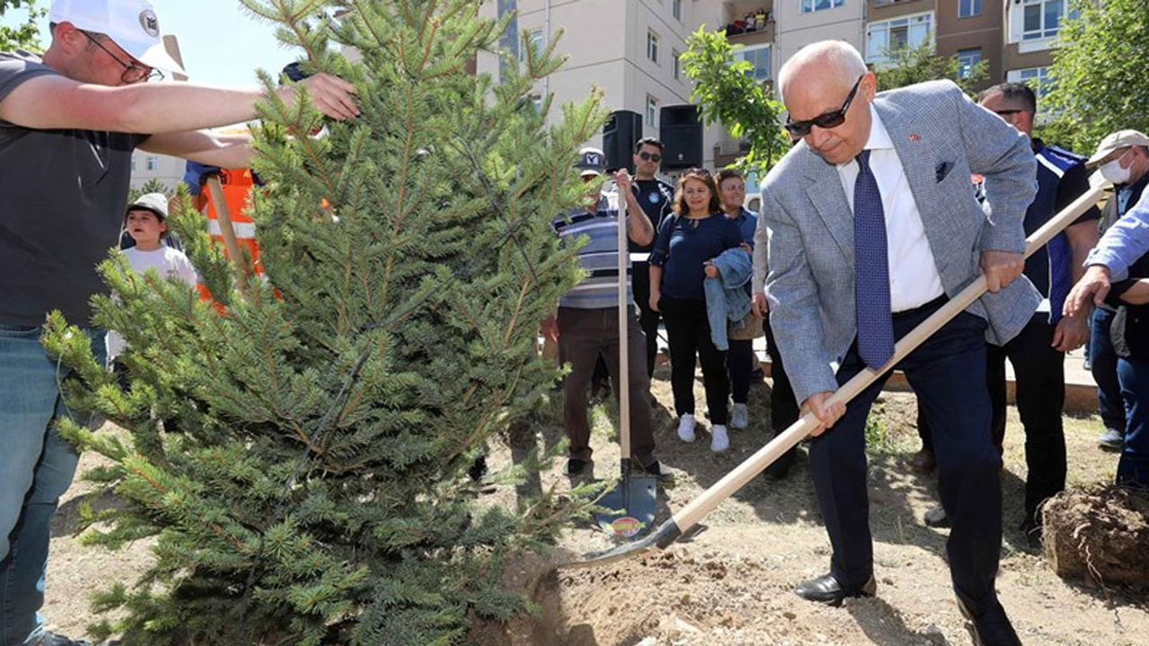 Yenimahalle yeşeriyor: Ağaç dikme töreni yapılacak