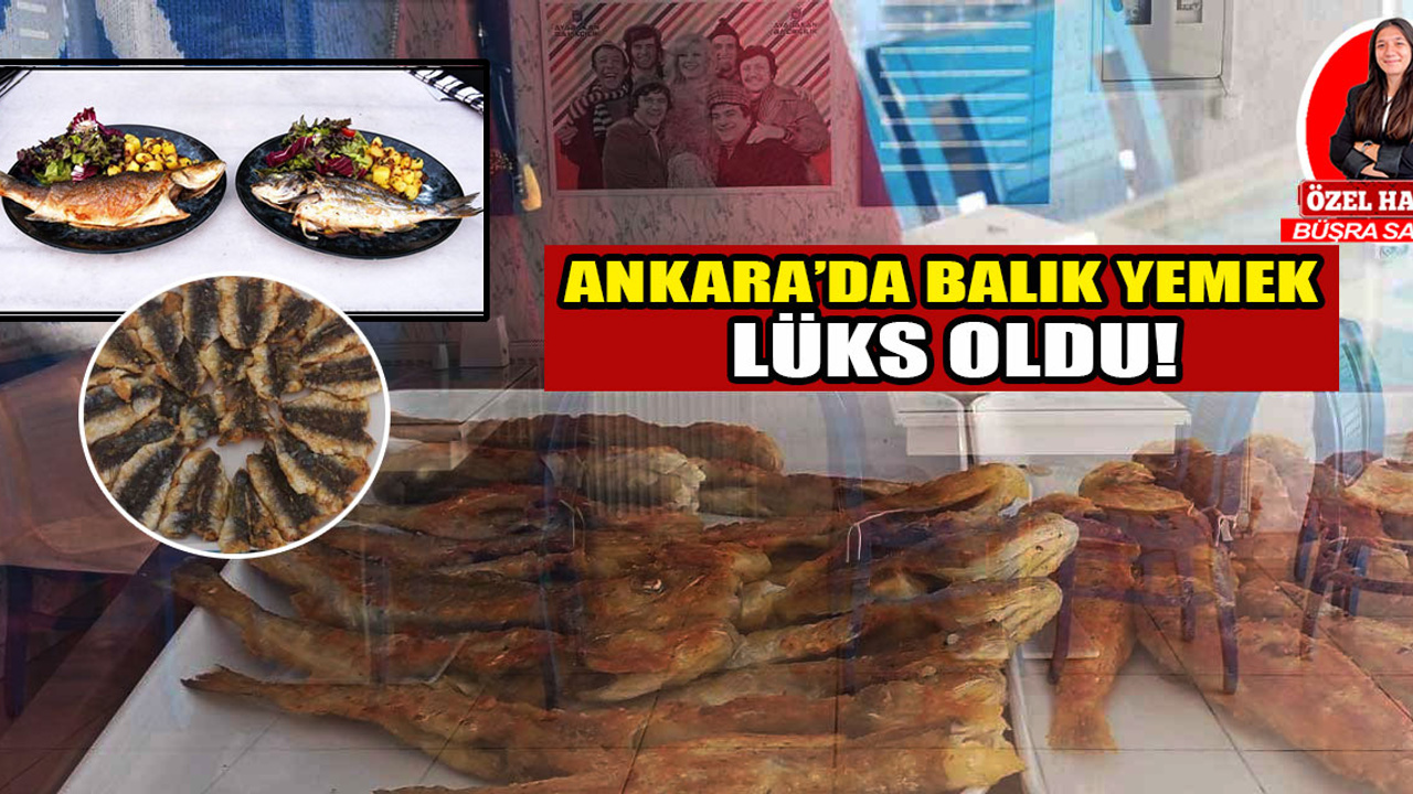 Ankara'da balık yemek lüks oldu