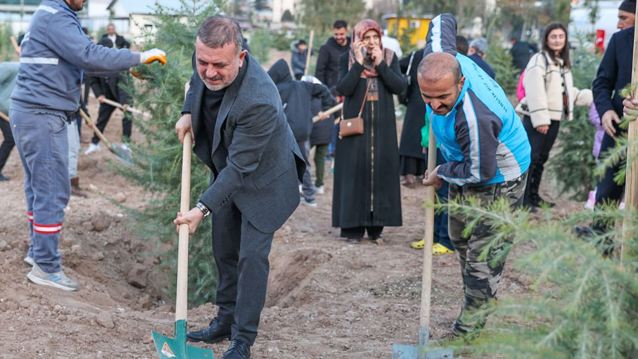 Sincan yeşillenecek: 536 ağaç toprakla buluştu