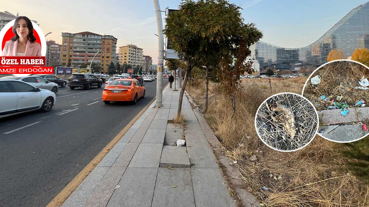 Ankara'da plazaların ortasındaki cadde çöplüğe döndü!