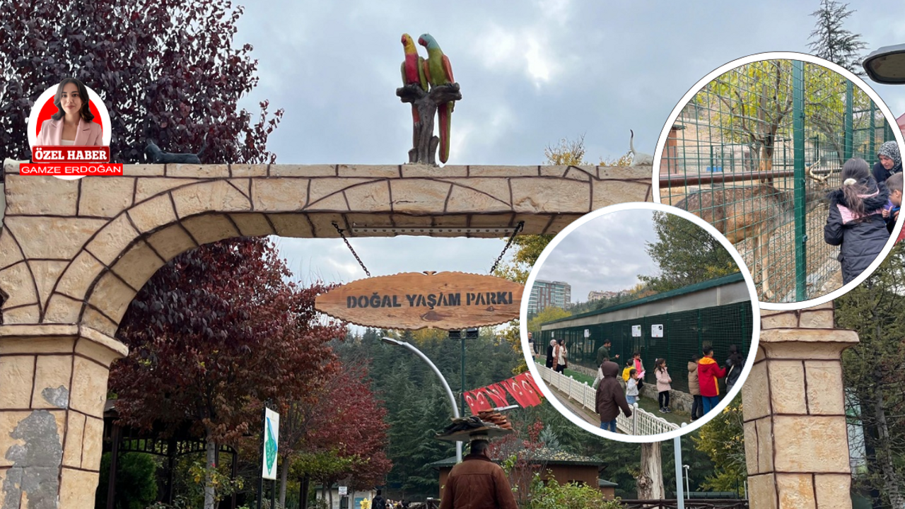 Keçiören Doğal Yaşam Parkı çocukların uğrak noktası oldu