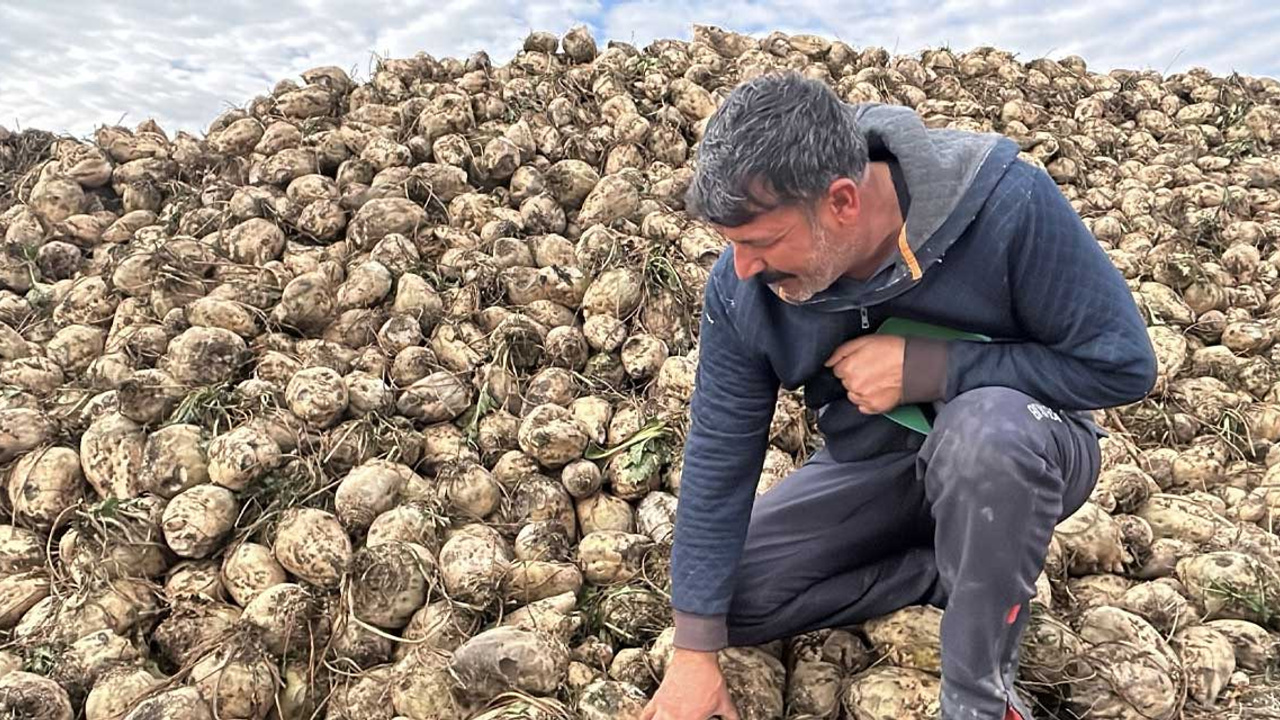 Yozgatlı pancar üreticileri randevu sisteminden şikayetçi: "Mağduriyetimiz artıyor"