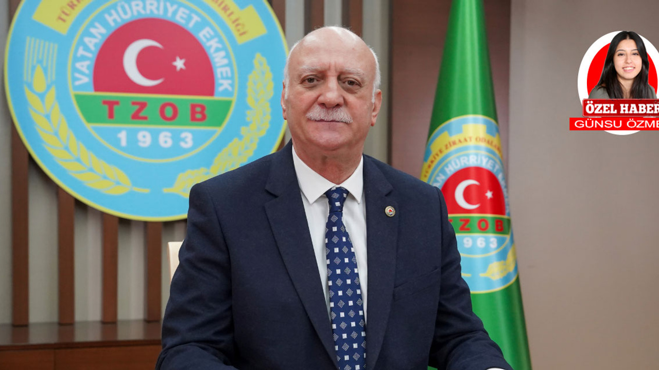 Kahverengi kokarca, Türk fındık sektörünü tehdit ediyor: Şemsi Bayraktar'dan uyarılar