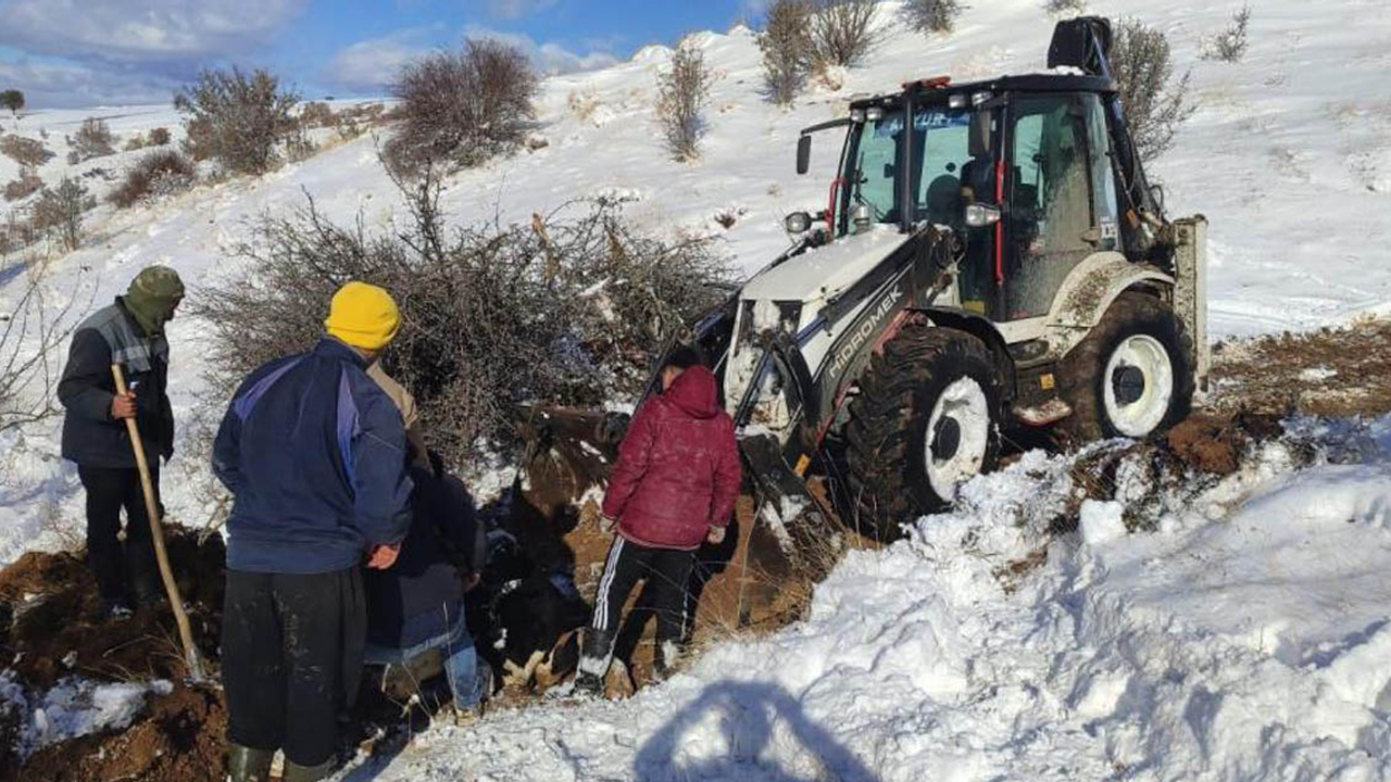 Akyurt’ta mahsur kalan büyükbaş hayvanlar kurtarıldı