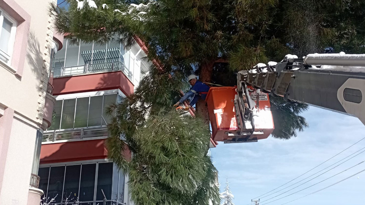 Mamak'ta ağaçlara kış bakımı!