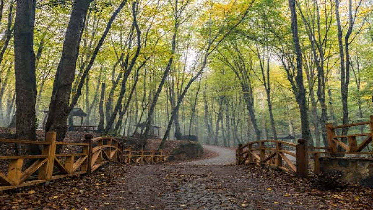 Belgrad Ormanı tehdit altında: Yapılaşmaya açılıyor