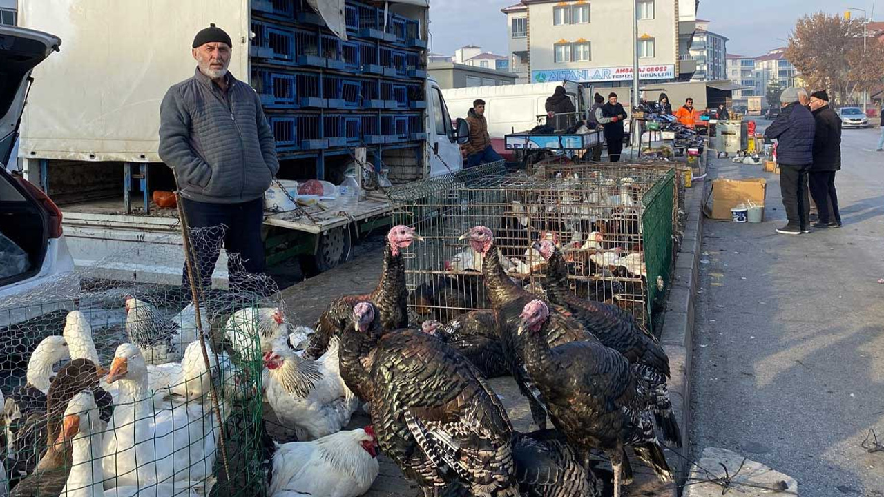 Yozgat Sorgun'da kanatlı hayvan pazarına kar yağışıyla talep artışı