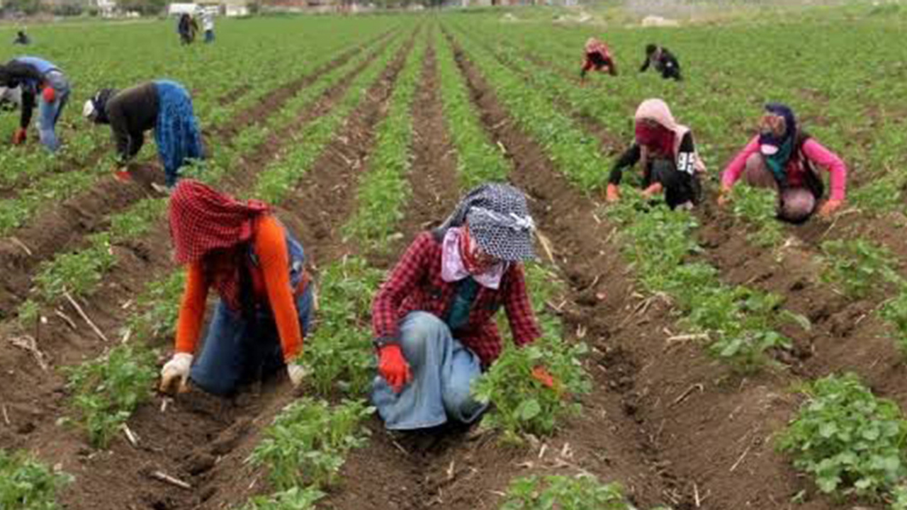 1 milyon 700 bin fide çiftçiyle buluşacak