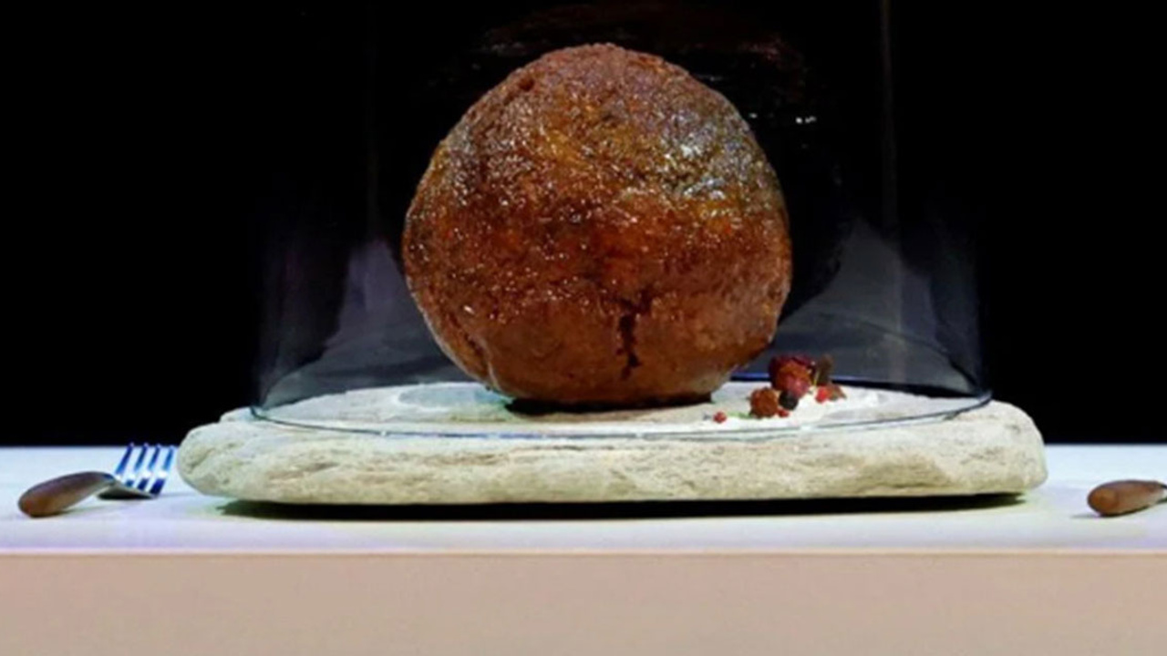 Bilim insanları Mamut DNA’sından köfte üretti