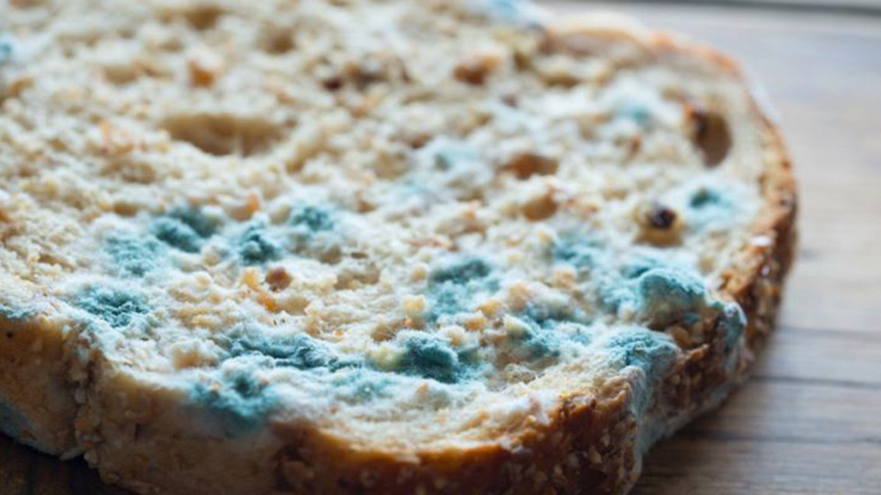 Küflenen ekmeği güvenle yiyebilir miyiz?