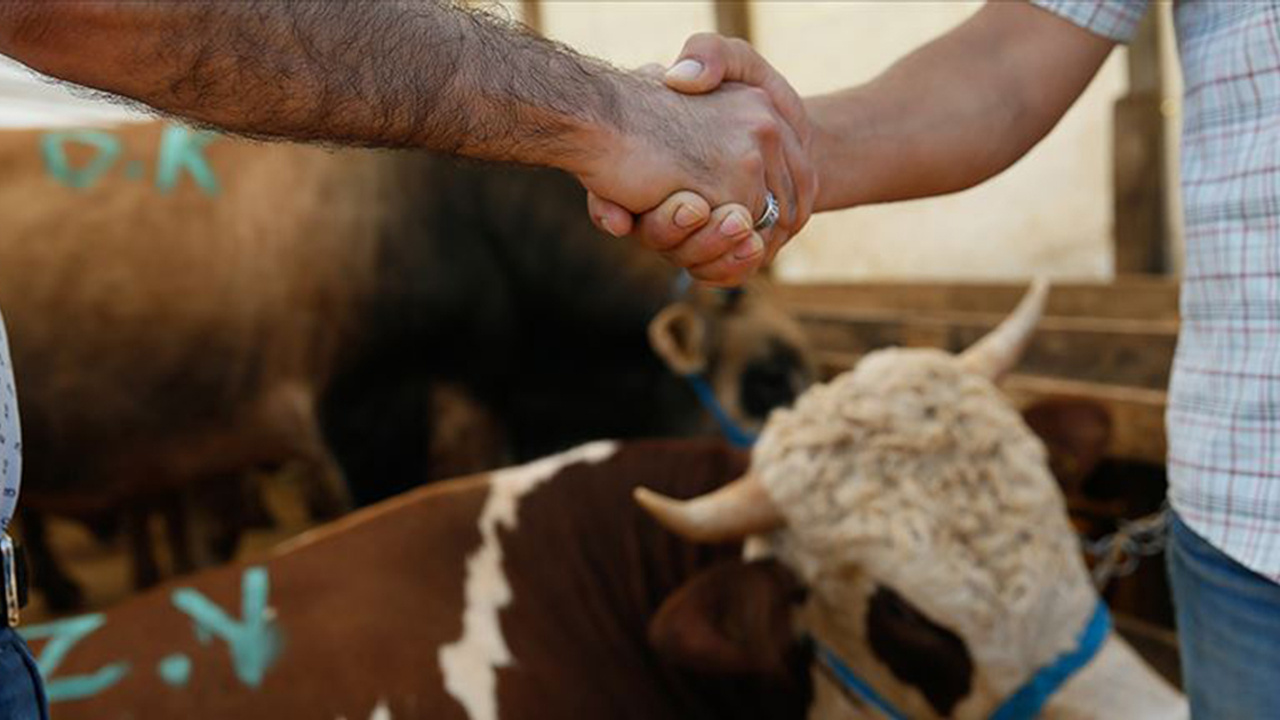 Kurban Bayramı kaç gün? Ne zaman başlıyor? Kurban Bayramı’nda izinler nasıl olacak? Bayram mesai hesaplama 2023