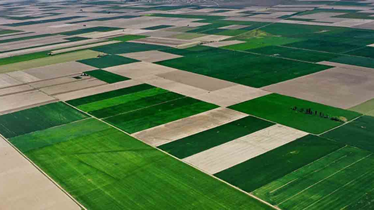 Konya Ovası son yılların en bereketli baharını yaşıyor
