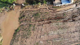 Kırıkkale'de sağanak yağış çiftçileri zor duruma soktu