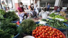 Köylü ürettiğini satıyor, vatandaş doğal besleniyor