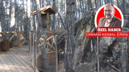 Ankara’nın görülmesi gereken doğal güzelliği burada