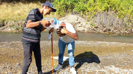 Yozgat'ta çobanlar hayvanlarını sıcaktan korumak için farklı yöntemler deniyor