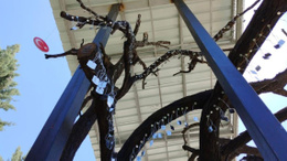 Kırşehir'de Şehitler Ağacı'na bin 310 şehit künyesi daha eklendi