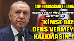 Cumhurbaşkanı Erdoğan, başıboş sokak köpeği meselesine noktayı koydu: "Kimse bize merhamet üzerinden ders vermeye kalkmasın"